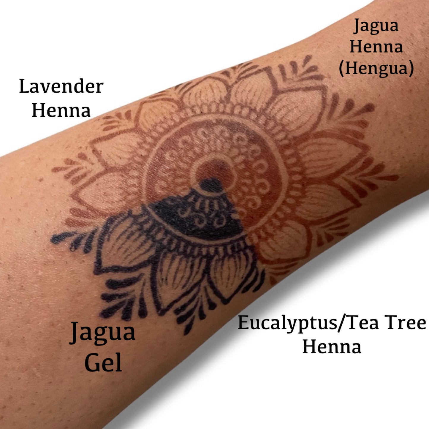 5 Pack Variety Henna, Jagua and Hengua Cones | Organic Prefilled Cones | BAQ (Body Art Quality) | Eucalyptus/Tea Tree, Lavender Henna Cones