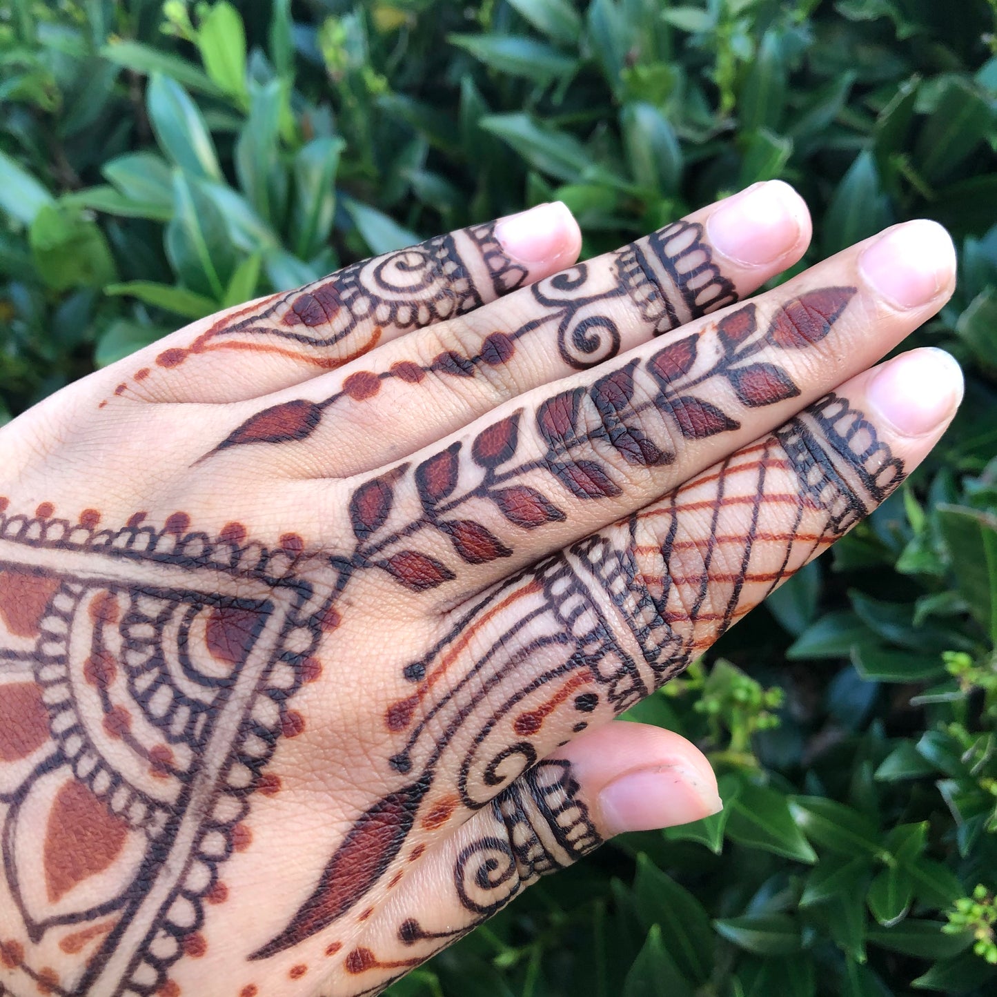 Jagua Gel and Henna Combo Kit | 2 Cones, Aftercare Balm, Sealant, Designs & Instructions |Organic Prefilled Cones