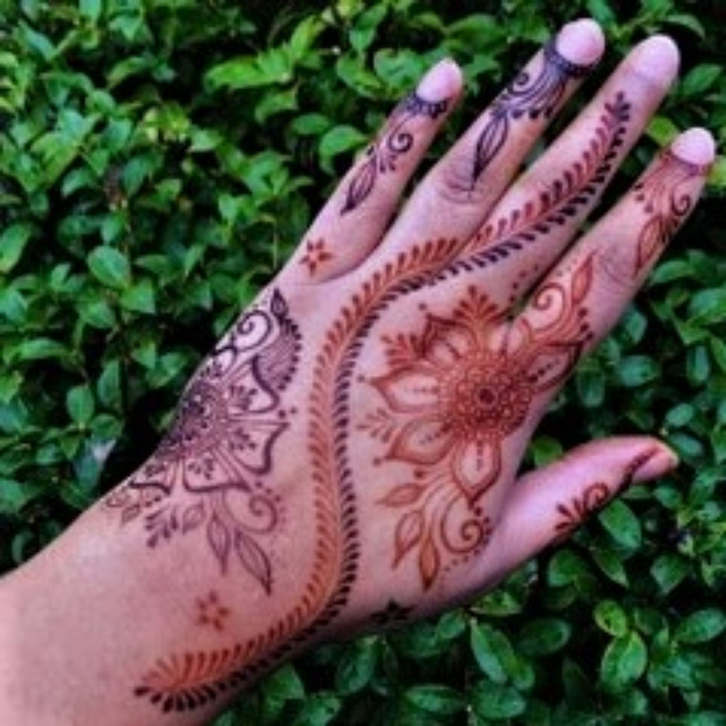 Jagua Gel and Henna Combo Kit | 2 Cones, Aftercare Balm, Sealant, Designs & Instructions |Organic Prefilled Cones