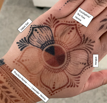 Practice Henna Bottles - Premade Paste - 8 Piece or 16 Piece Tips