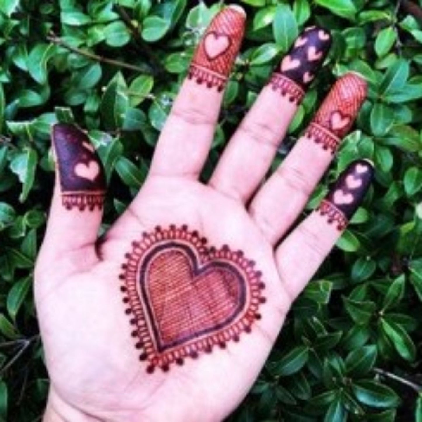 DIY Henna Kit | 2 Bottles with 16 Tips and Includes Aftercare Balm, Sealant, Designs & Instructions