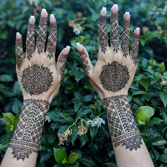 Henna Kit Bottles | 2 Henna Bottles, Aftercare Balm, Sealant, Designs & Instructions